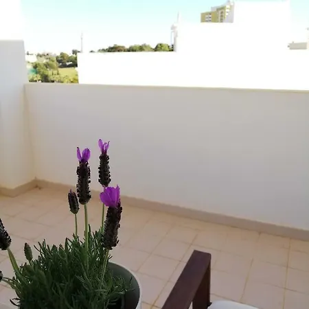 T3 Alvorica By Amcf Alvor